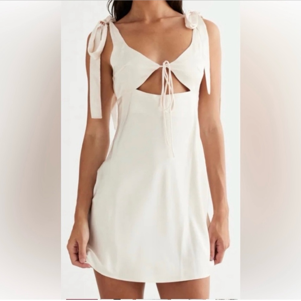Lioness Barbie dress